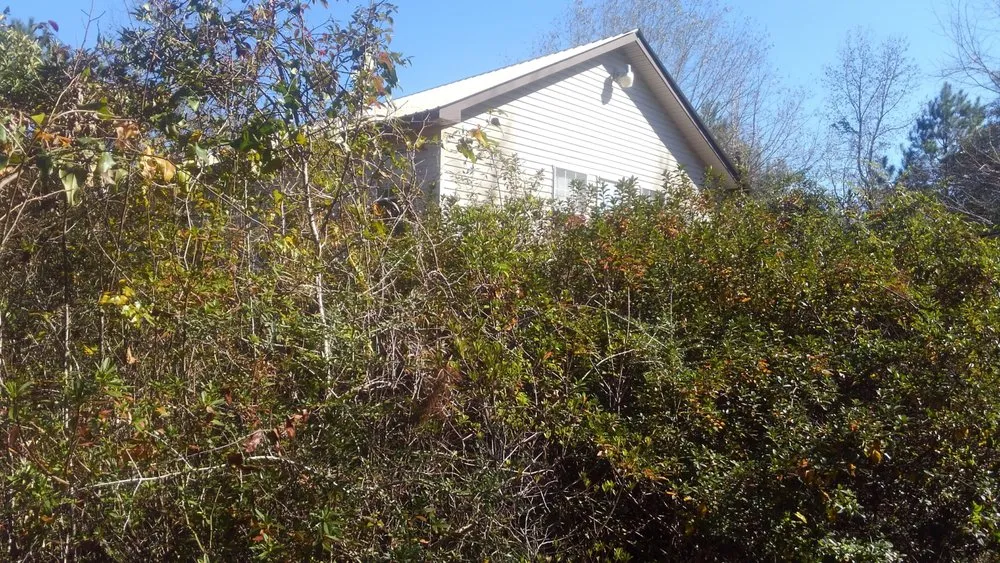 Affordable outdoor landscaping for year-round maintenance across Picayune, MS - Lou's Lawnscape