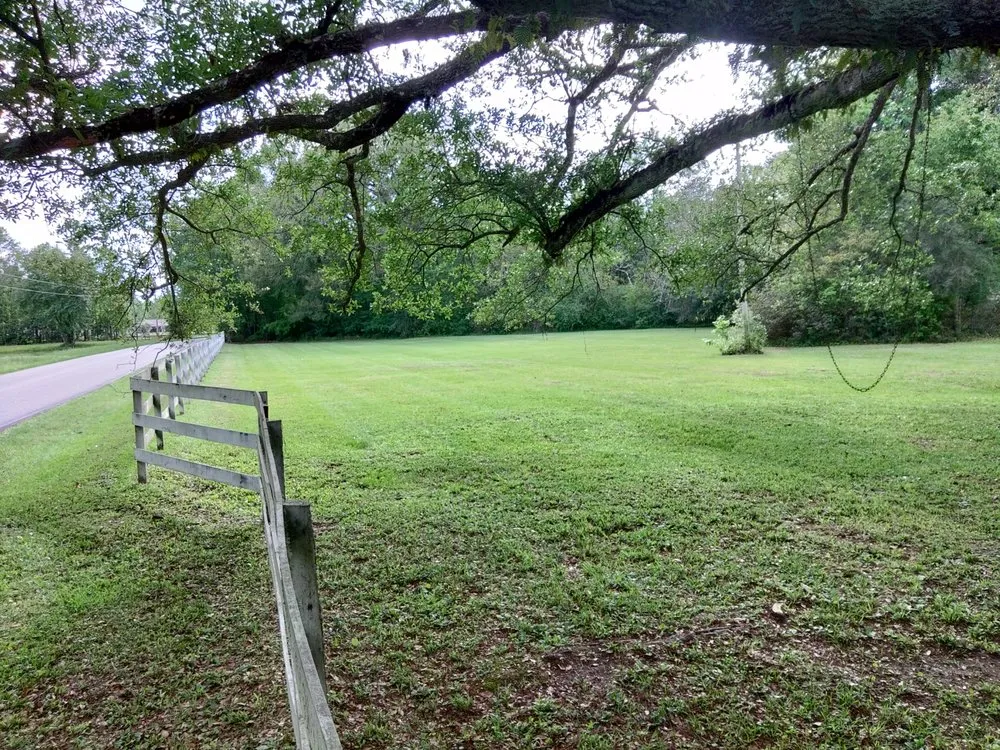 Top-rated landscape installation experts serving Picayune, MS - Lou's Lawnscape