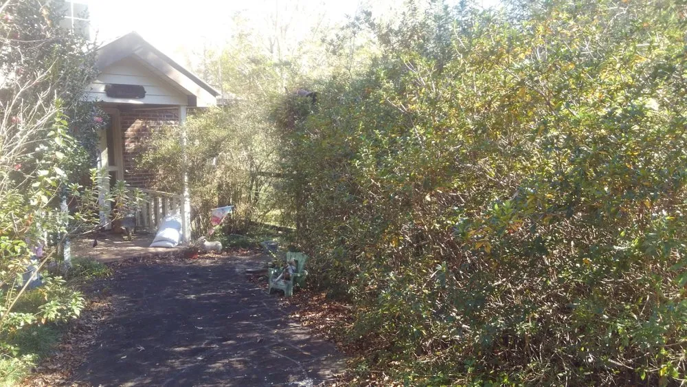 Top-rated yard maintenance for homes across Picayune, MS - Lou's Lawnscape