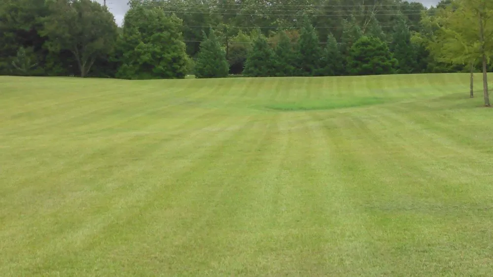 Local garden landscaping in Picayune, MS - Lou's Lawnscape