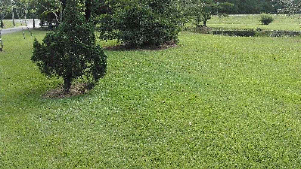 Top-rated lawn care service for outdoor upgrades across Picayune, MS - Lou's Lawnscape