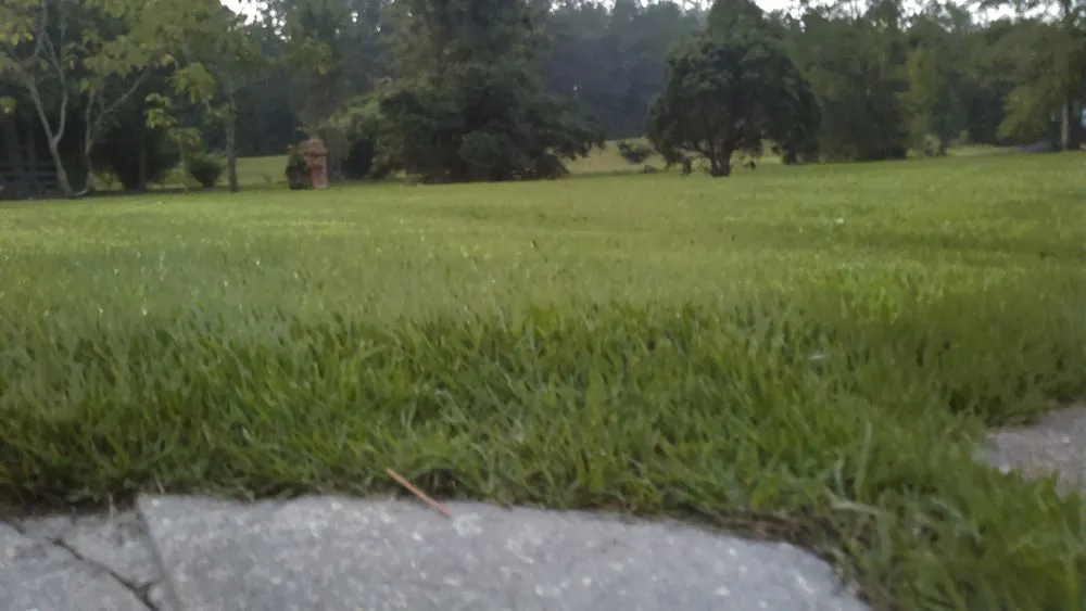 Local outdoor landscaping in Picayune, MS - Lou's Lawnscape