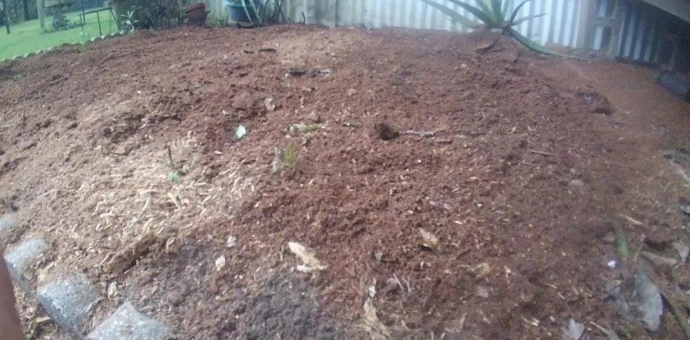 Affordable lawn care service for residential properties across Picayune, MS - Lou's Lawnscape