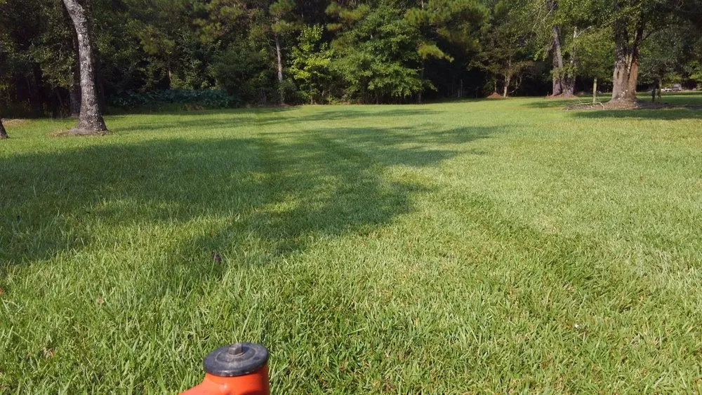 Top-rated landscaping services for year-round maintenance in Picayune, MS by Lou's Lawnscape