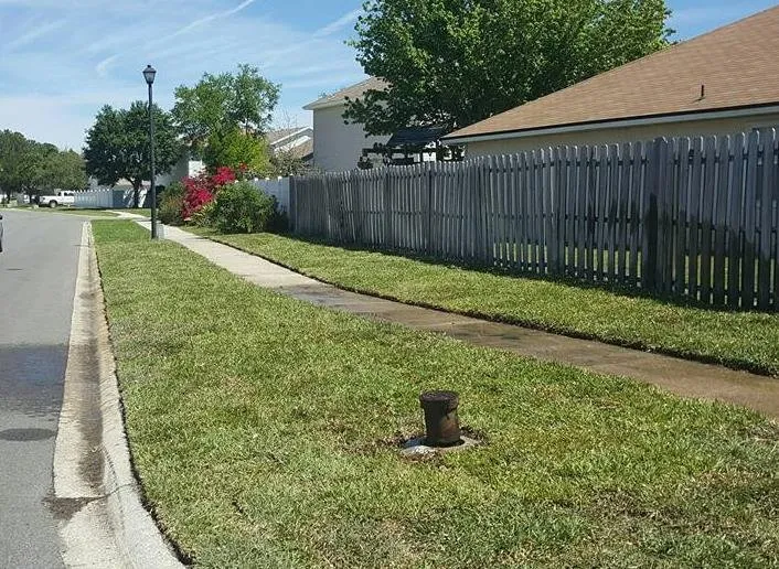 Affordable landscape design in Jacksonville, FL - Lou’s Quality Lawn and Landscaping Service