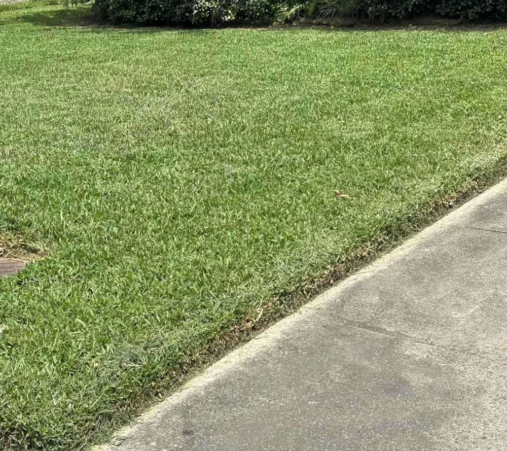 Top-rated outdoor landscaping in Belle Chasse, LA by Louviere Lawn Care