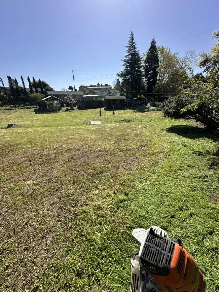 Reliable landscape design for year-round maintenance in Santa Rosa, CA by LOUZA Gardening Maintenance