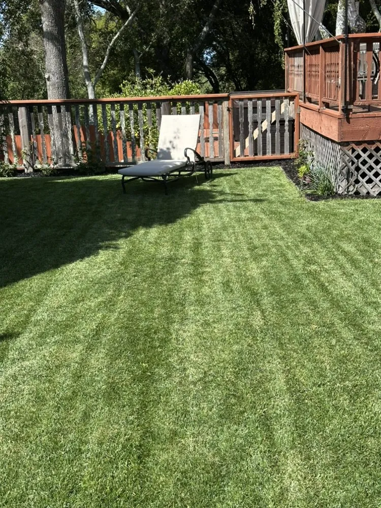 Professional lawn care service in Santa Rosa, CA by LOUZA Gardening Maintenance