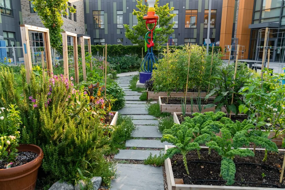 Trusted outdoor landscaping experts serving Washington DC, DC - Love & Carrots