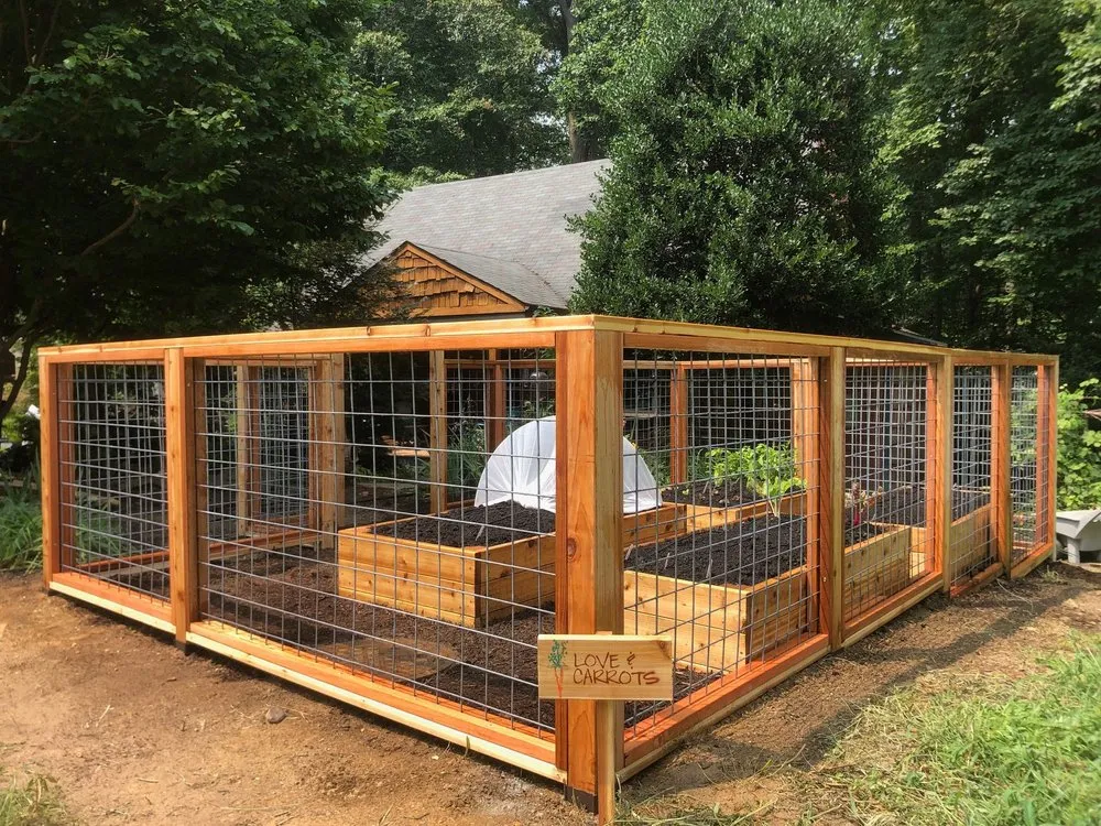 Reliable outdoor landscaping in Washington DC, DC by Love & Carrots