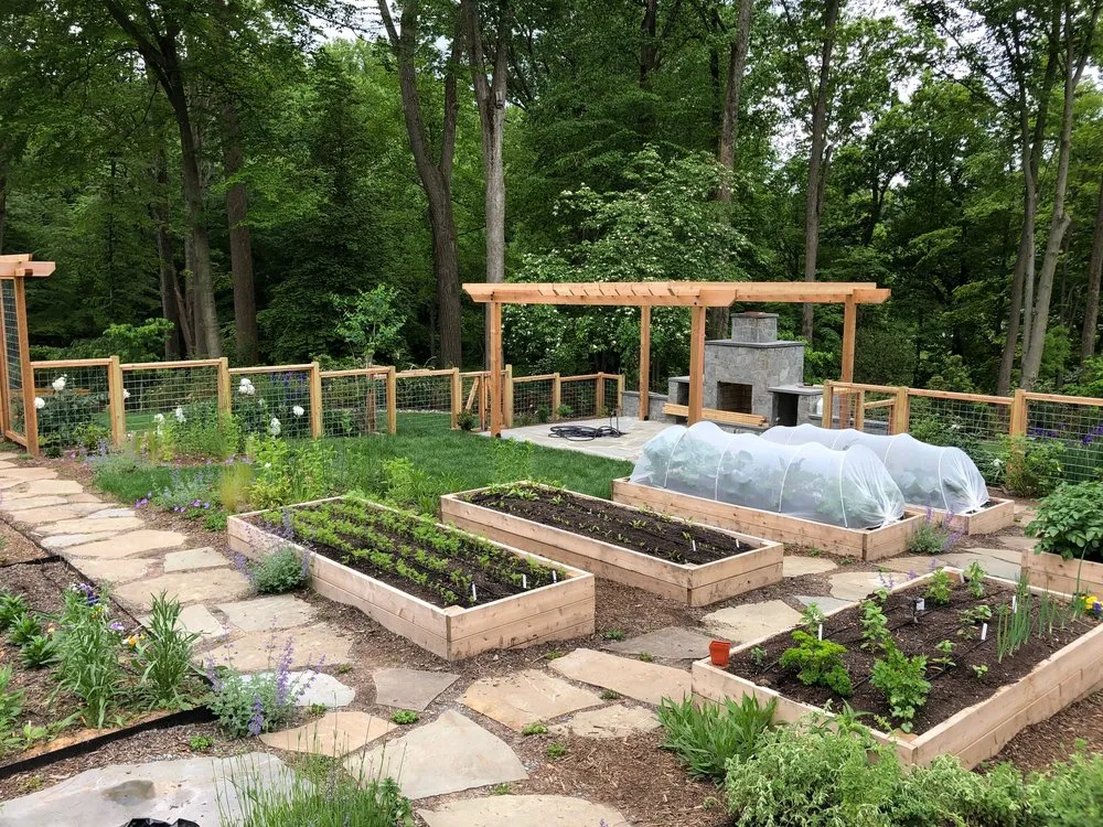 Reliable lawn care service experts serving Washington DC, DC - Love & Carrots