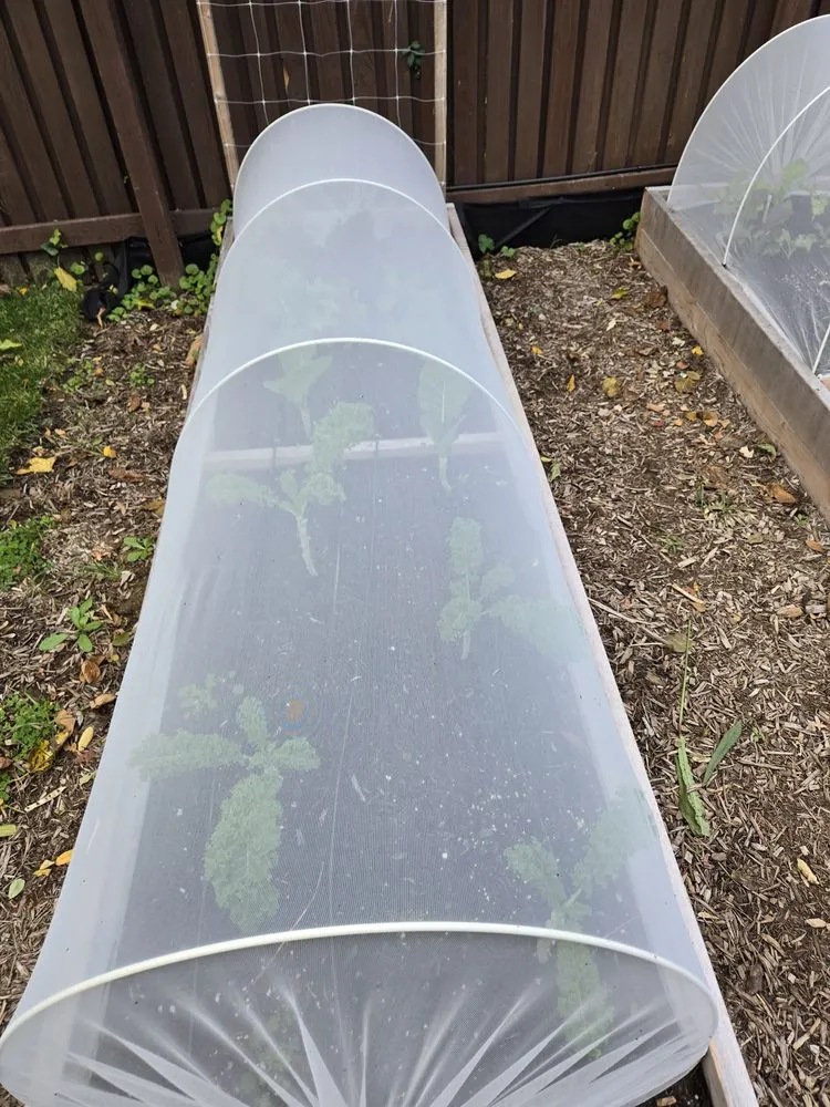 Custom landscape installation in Washington DC, DC by Love & Carrots