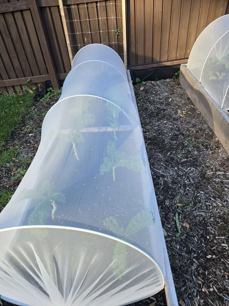 Top-rated outdoor landscaping near you in Washington DC, DC by Love & Carrots