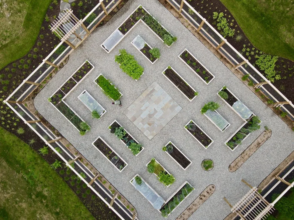 Professional outdoor landscaping with custom design in Washington DC, DC by Love & Carrots