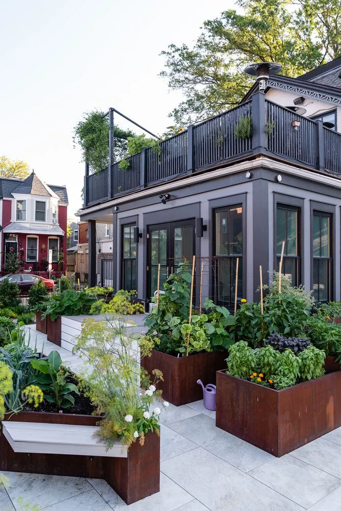 Reliable outdoor landscaping in Washington DC, DC by Love & Carrots