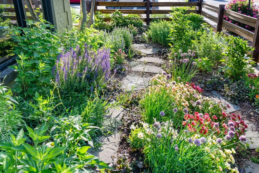 Reliable lawn mowing service for outdoor upgrades in Washington DC, DC by Love & Carrots