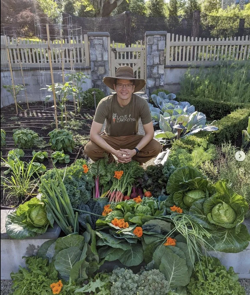 Top-rated residential landscaping for year-round maintenance across Washington DC, DC - Love & Carrots