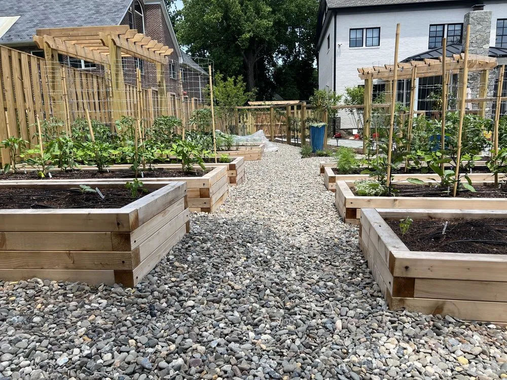 Top-rated lawn care service for beautiful yards in Washington DC, DC by Love & Carrots