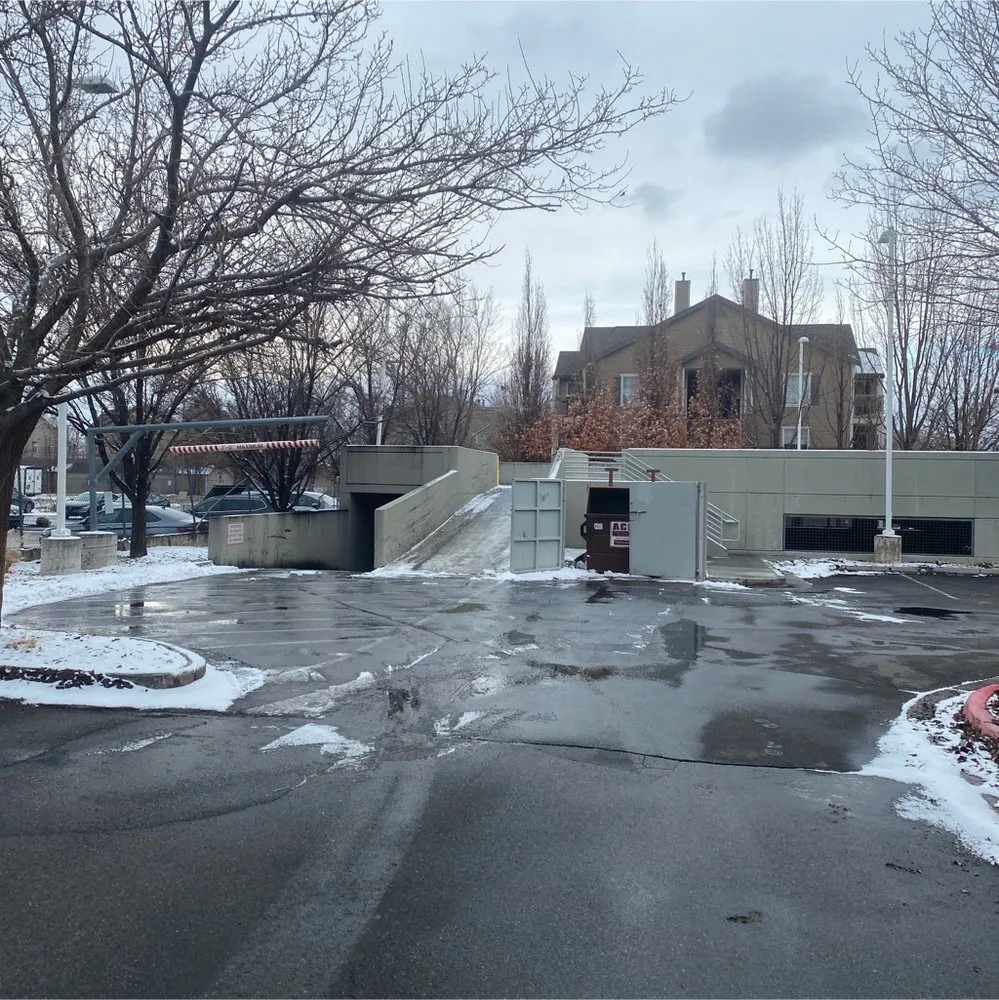 Local yard cleanup service for year-round maintenance across West Valley City, UT - Love & Light Contractor Services