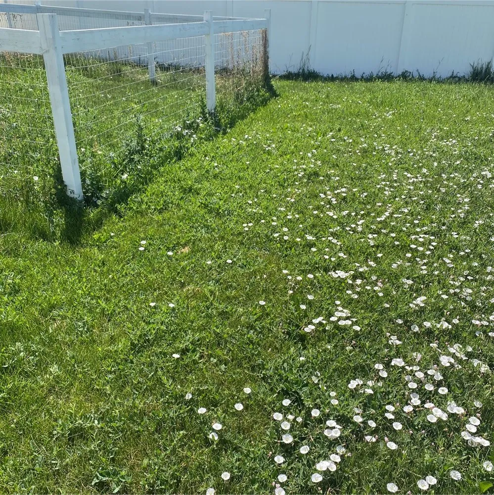 Custom landscaping services for residential properties across West Valley City, UT - Love & Light Contractor Services