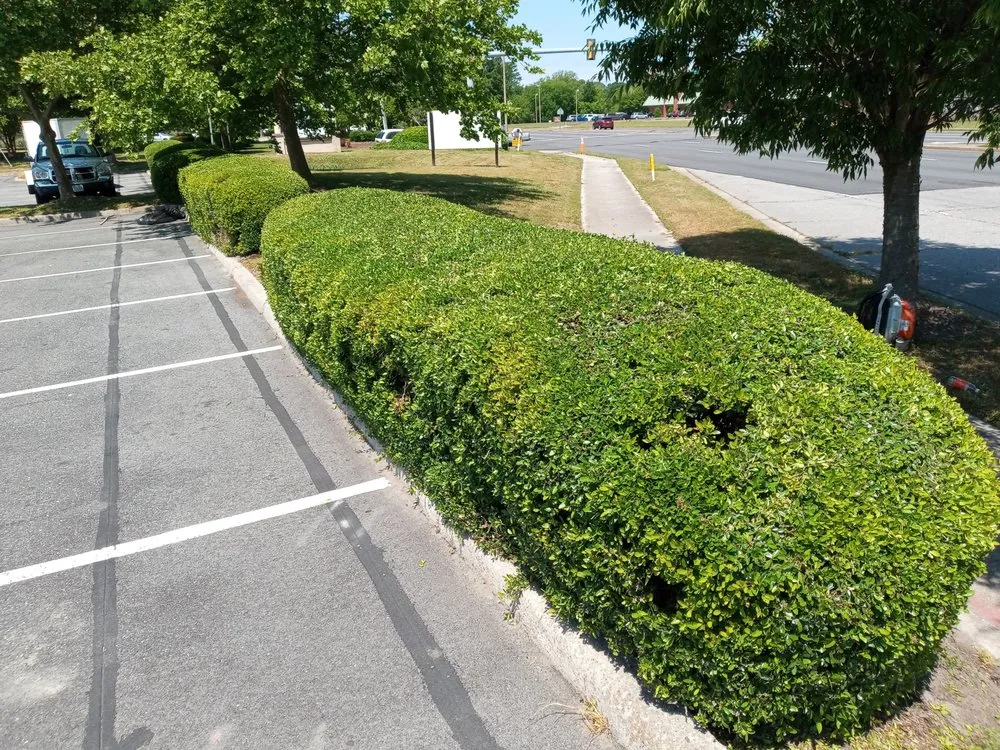 Professional lawn care service for homes across Orlando, FL - Love & One Lawn Care