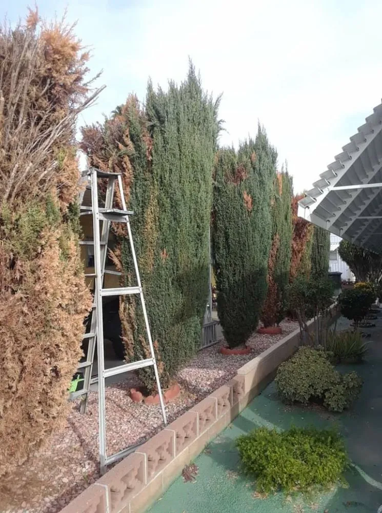 Affordable outdoor landscaping with custom design in Perris, CA by Love 2 Help Landscape and Handyman