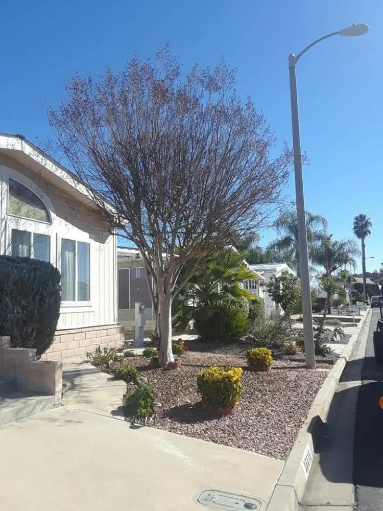 Top-rated residential landscaping for homes across Perris, CA - Love 2 Help Landscape and Handyman