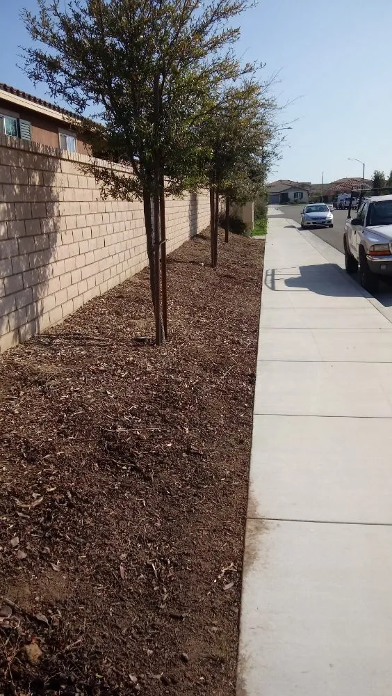 Reliable yard cleanup service for outdoor upgrades across Perris, CA - Love 2 Help Landscape and Handyman