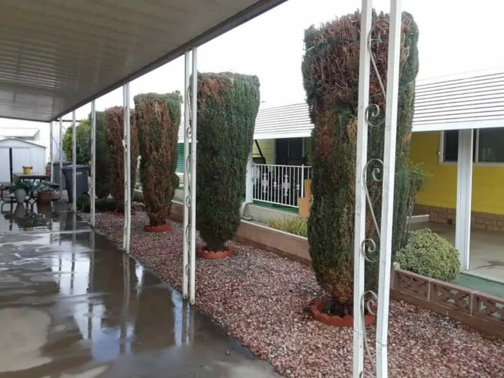 Top-rated landscape installation in Perris, CA - Love 2 Help Landscape and Handyman