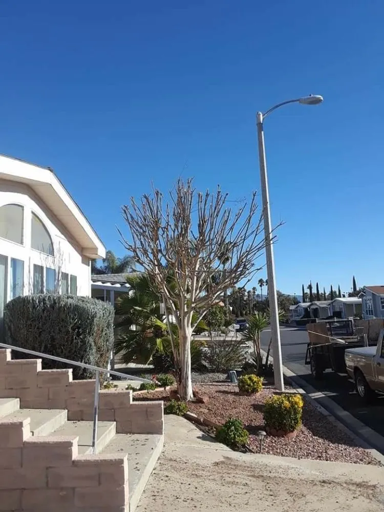 Affordable landscaping services experts serving Perris, CA - Love 2 Help Landscape and Handyman