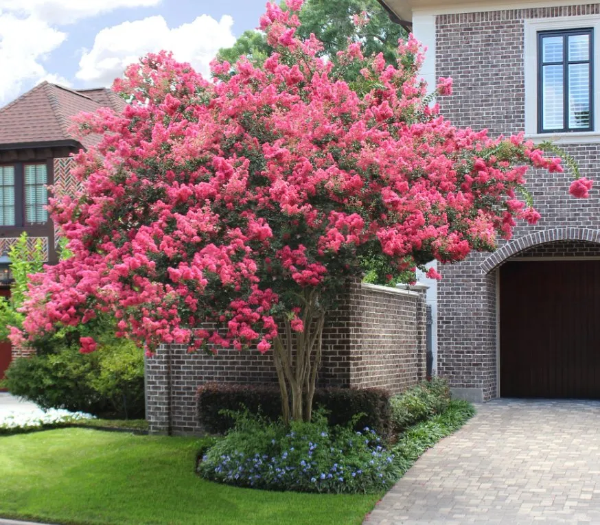 Top-rated outdoor landscaping experts serving Portland, TX - Love and Lawn Care