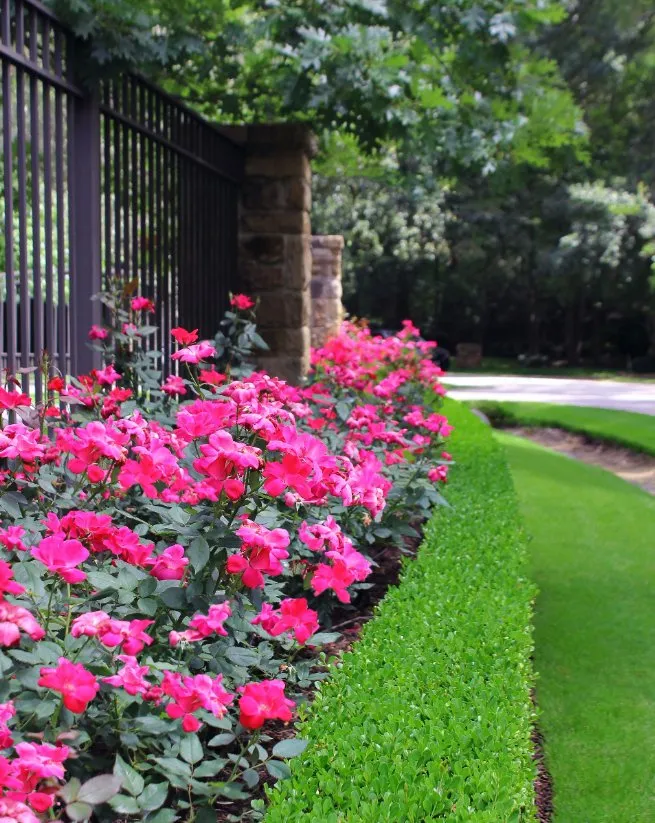 Professional yard maintenance experts serving Portland, TX - Love and Lawn Care