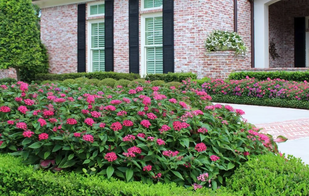 Custom lawn mowing service in Portland, TX - Love and Lawn Care