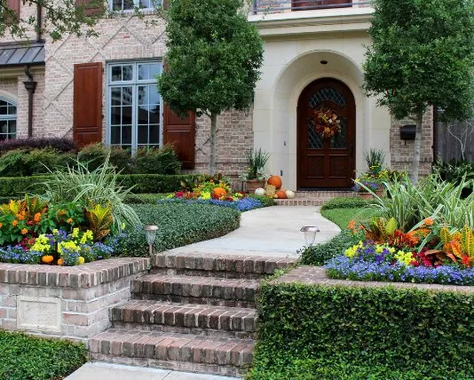 Expert yard cleanup service in Portland, TX - Love and Lawn Care