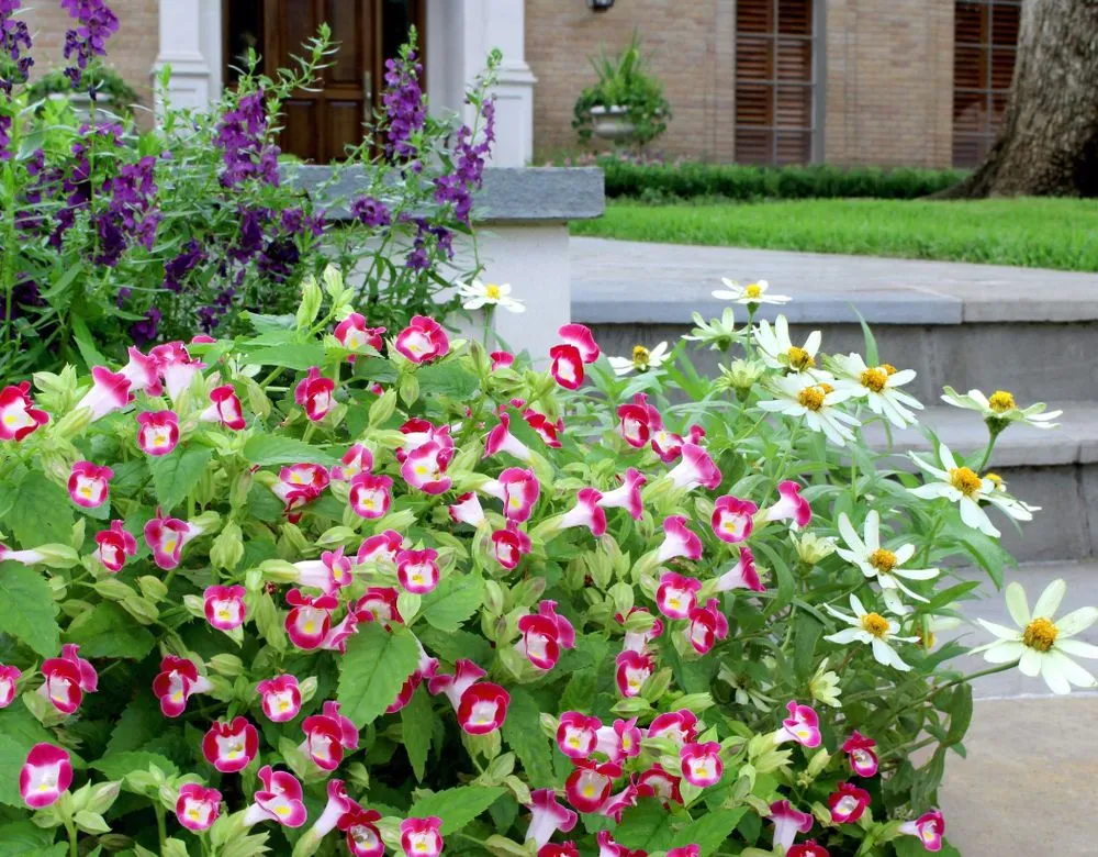 Reliable outdoor landscaping for homes across Portland, TX - Love and Lawn Care