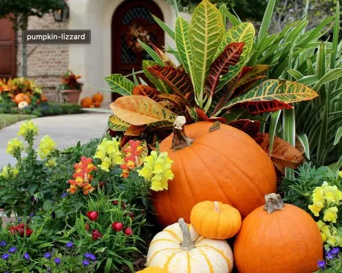 Local landscape installation for outdoor upgrades in Portland, TX by Love and Lawn Care