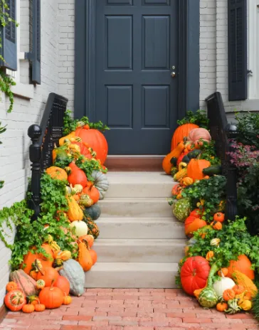 Affordable landscaping services experts serving Portland, TX - Love and Lawn Care