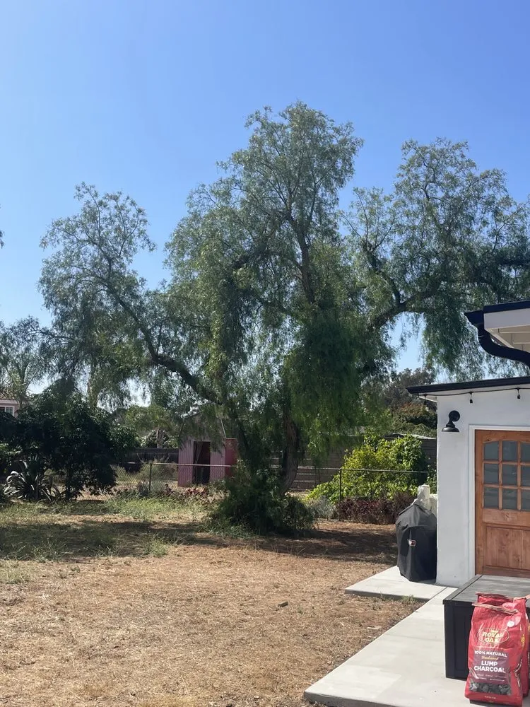 Custom lawn care service with custom design across San Diego, CA - Love Branch Tree Pros