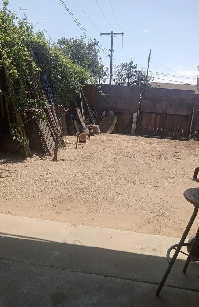 Professional lawn care service in San Diego, CA by Love Branch Tree Pros