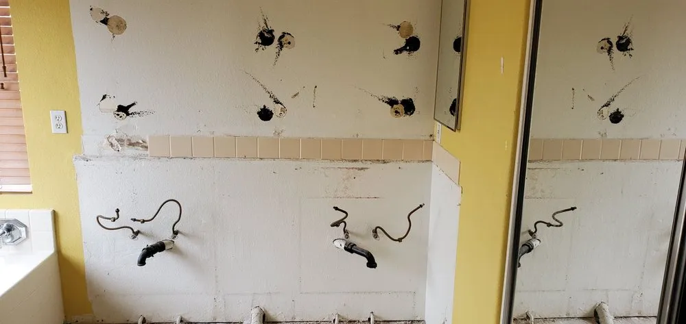 Expert outdoor landscaping in San Diego, CA by Love Branch Tree Pros