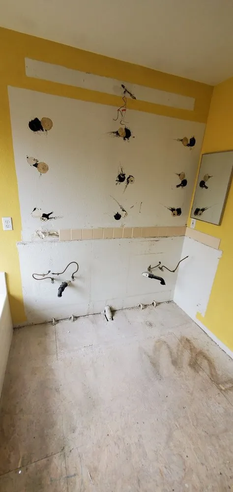 Custom outdoor landscaping in San Diego, CA by Love Branch Tree Pros