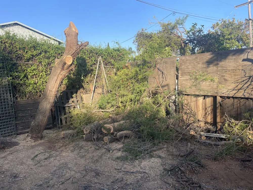 Top-rated residential landscaping for beautiful yards in San Diego, CA by Love Branch Tree Pros