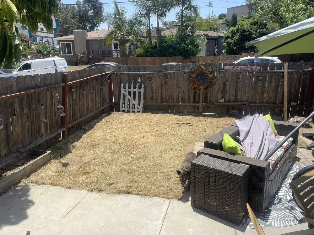Custom yard cleanup service experts serving San Diego, CA - Love Branch Tree Pros