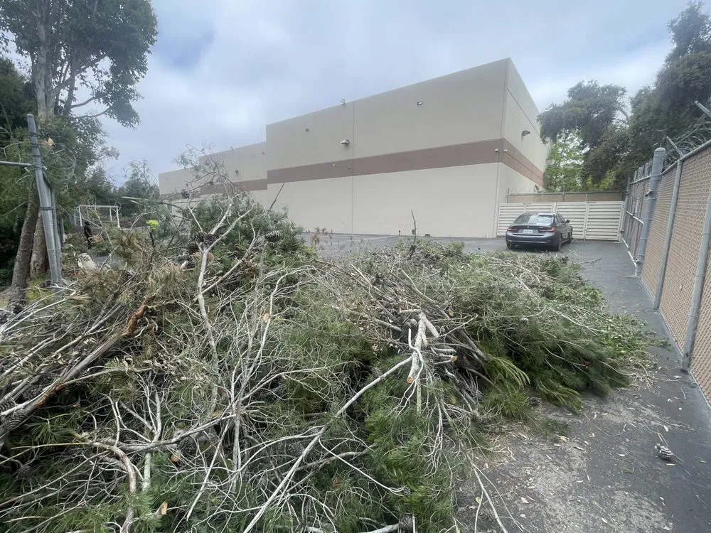 Trusted landscaping services in San Diego, CA - Love Branch Tree Pros