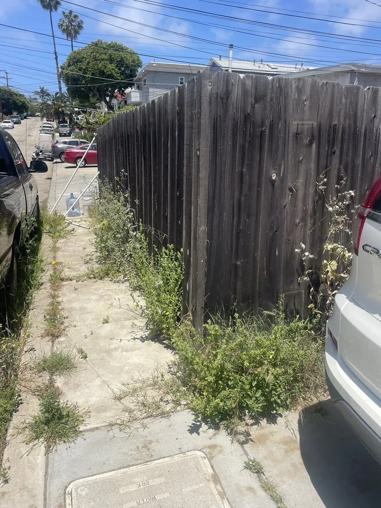 Affordable outdoor landscaping for outdoor upgrades across San Diego, CA - Love Branch Tree Pros