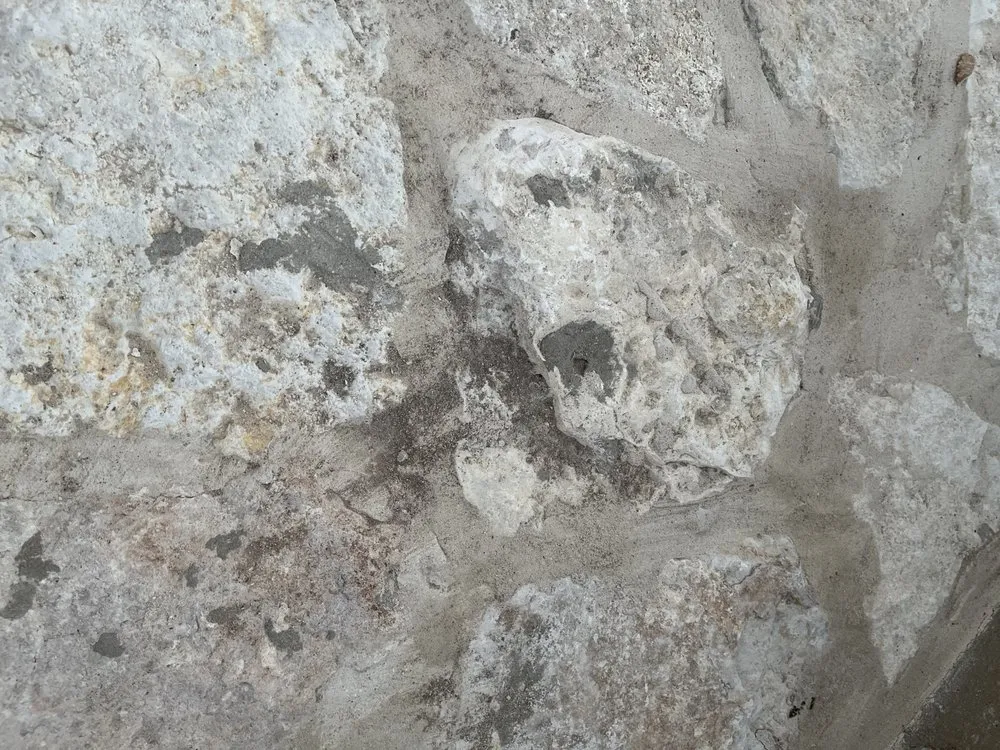 Local garden landscaping for outdoor upgrades in Leander, TX by Love For Lawns Landscaping