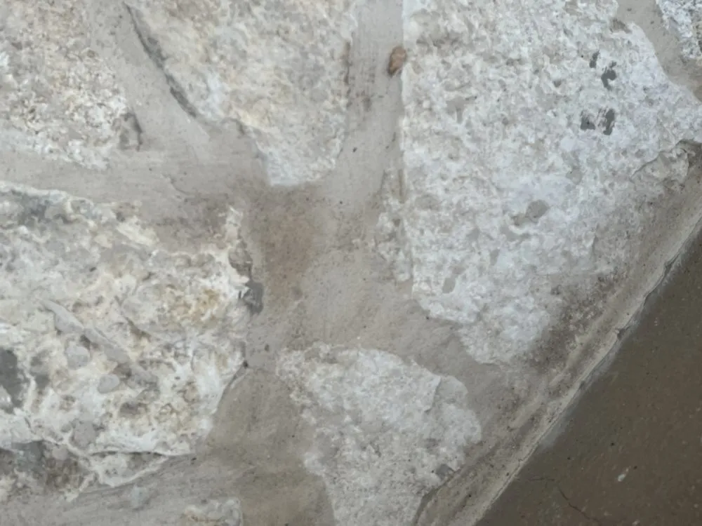 Trusted garden landscaping experts serving Leander, TX - Love For Lawns Landscaping