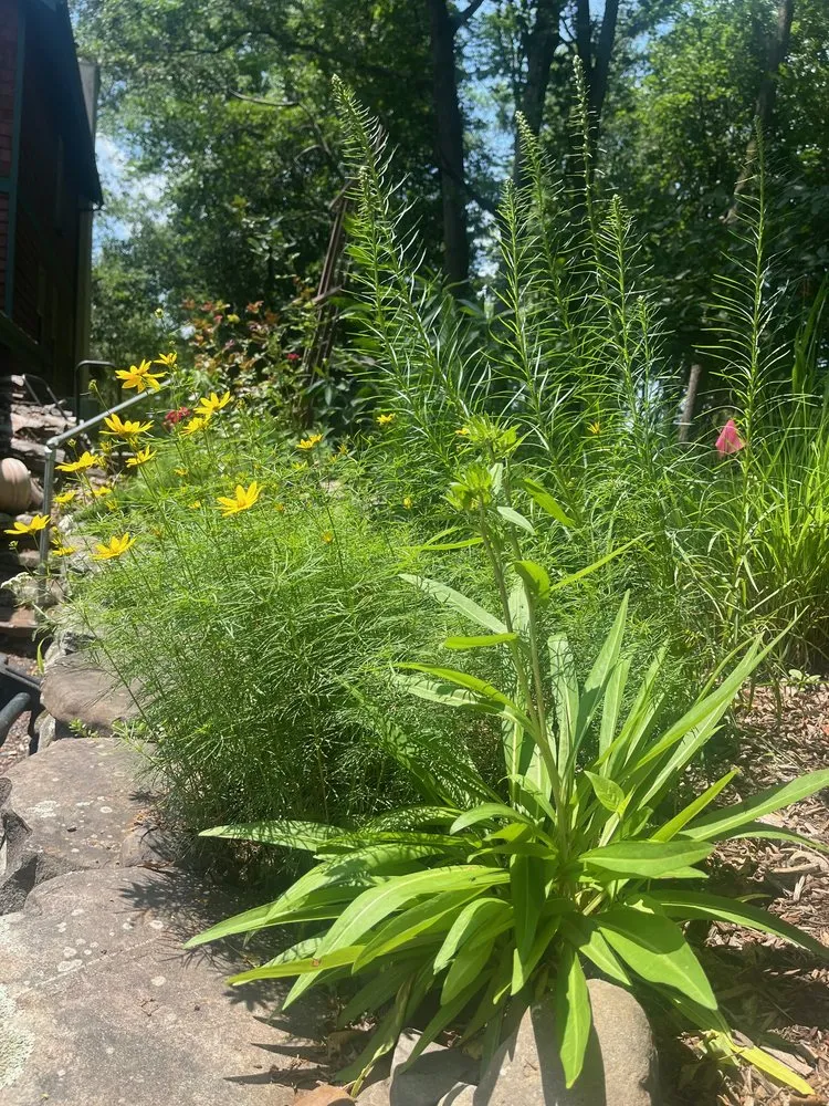 Local landscaping services experts serving Fishkill, NY - Love Grows Here Gardening