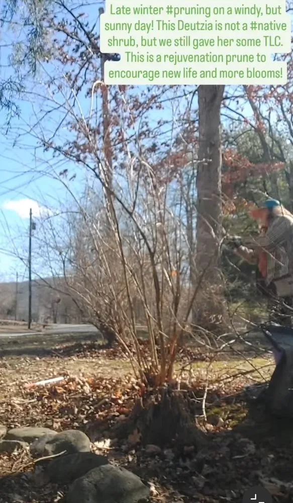 Expert lawn mowing service experts serving Fishkill, NY - Love Grows Here Gardening