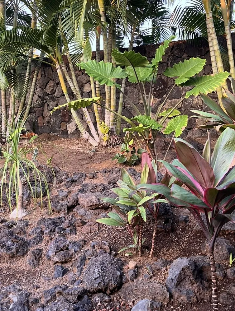 Custom landscape design for residential properties in Holualoa, HI by Love It Landscapes